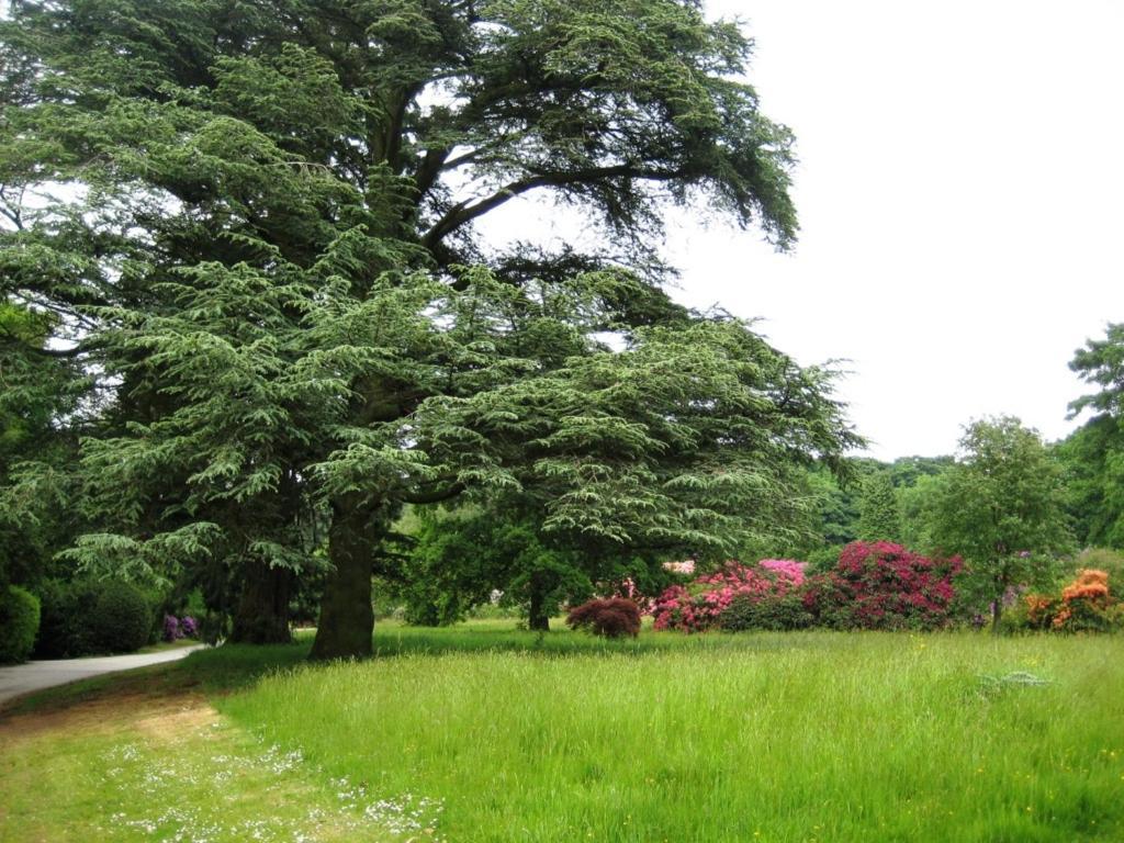Willington Hall Hotel 타폴리 외부 사진